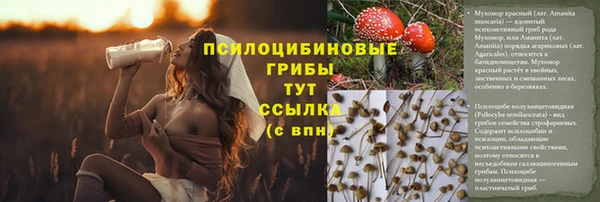амф Володарск