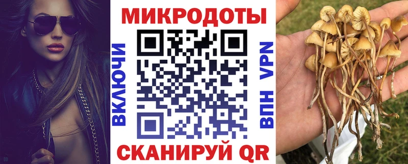 Галлюциногенные грибы мухоморы  купить  сайты  Сыктывкар 